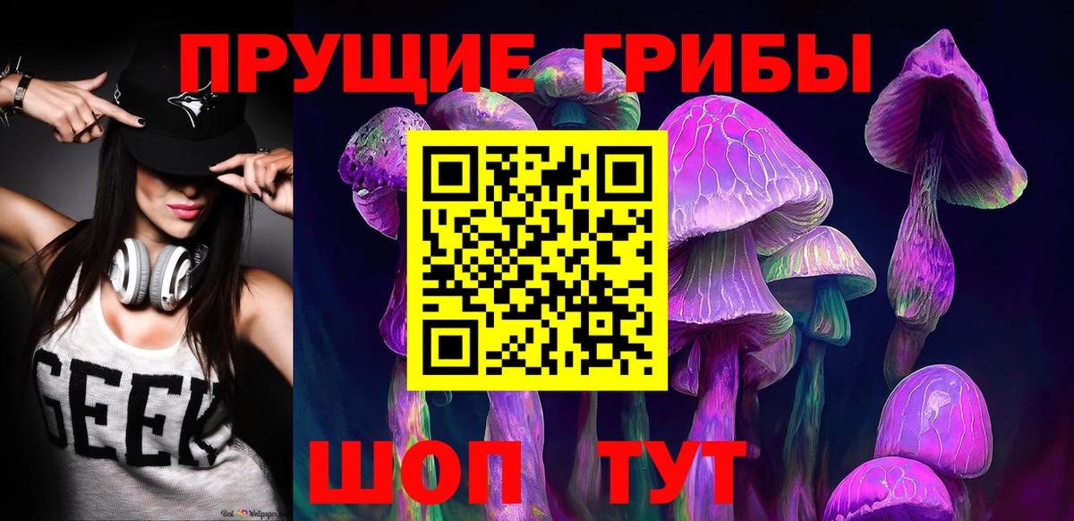 Псилоцибиновые грибы Magic Shrooms  Галлюциногенные грибы GOLDEN TEACHER  Калуга  Вход с VPN 