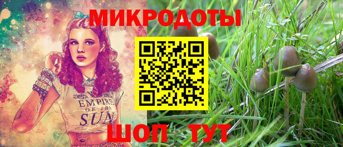 Галлюциногенные грибы мицелий Калуга